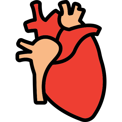 Cardiologist
